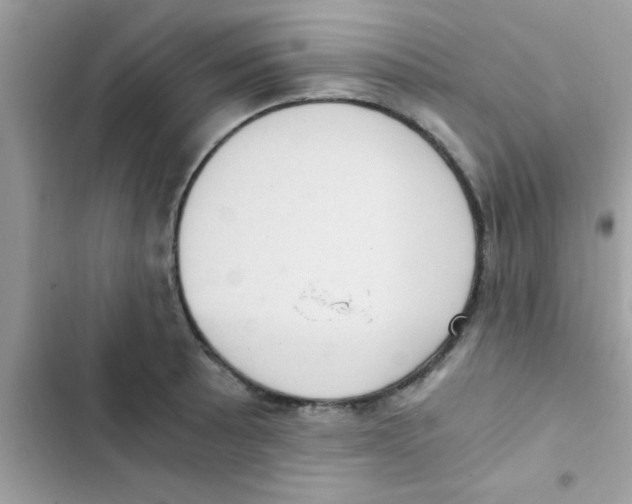 X0000103141089200809191959