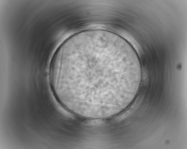 X0000103141090200809191959