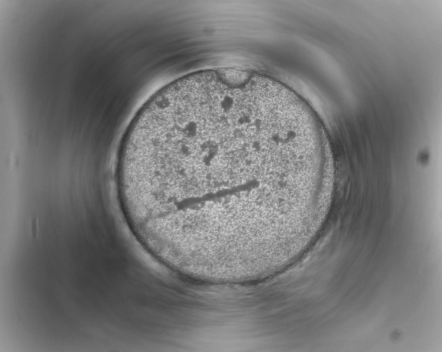 X0000103141091200809191959