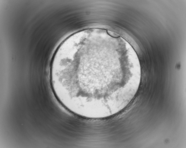 X0000103141092200809191959