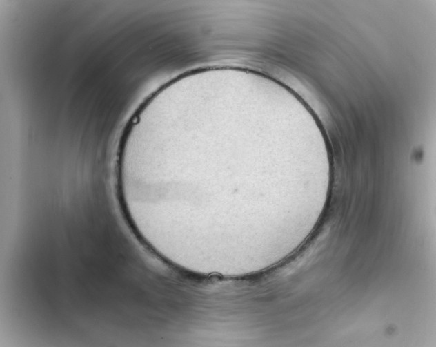 X0000103141093200809191959