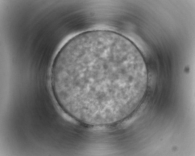 X0000103141094200809191959