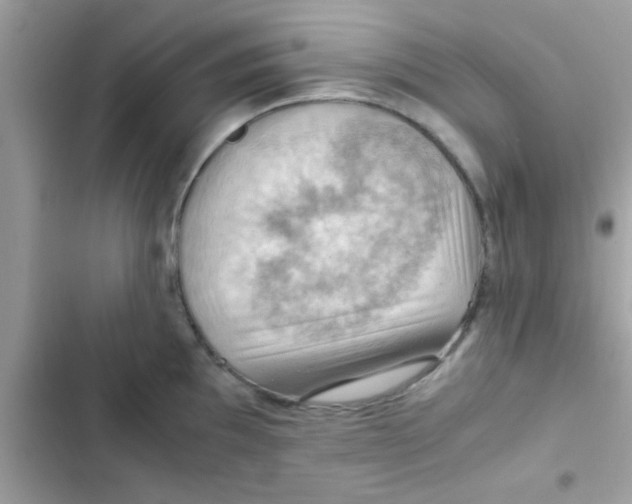 X0000103141097200809191959