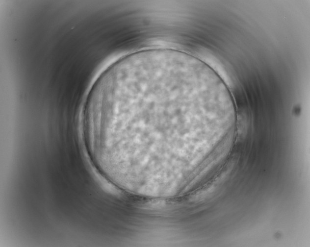 X0000103141098200809191959