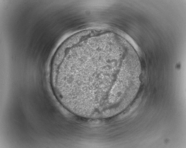 X0000103141099200809191959