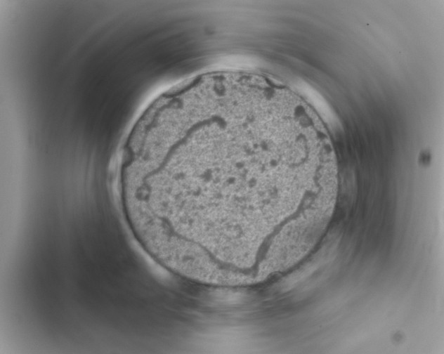 X0000103141103200809191959