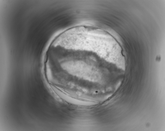 X0000103141104200809191959