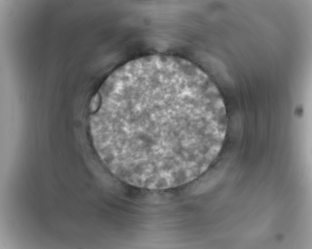 X0000103141105200809191958