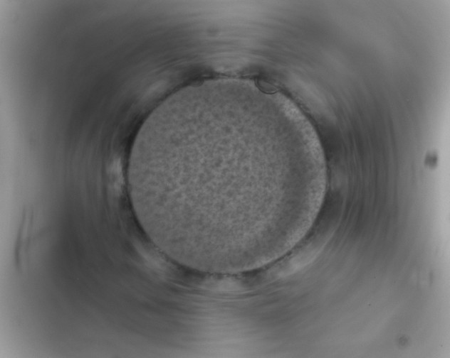 X0000103141106200809191958