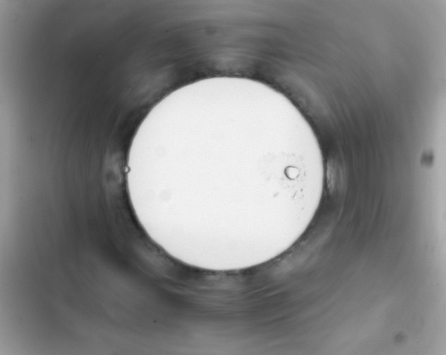 X0000103141107200809191958