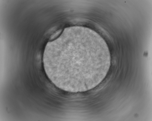 X0000103141108200809191958