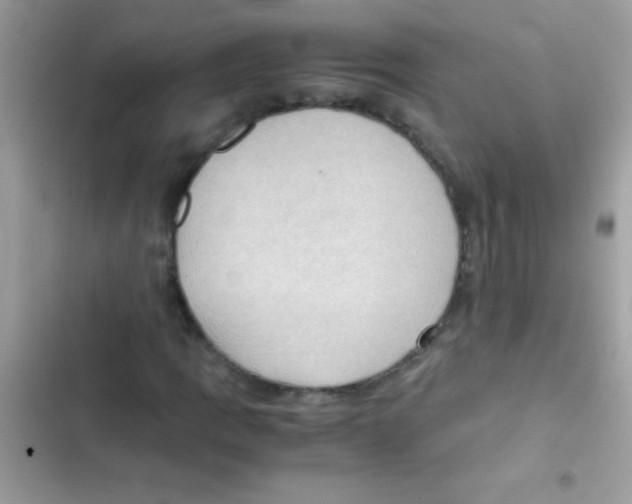 X0000103141109200809191958