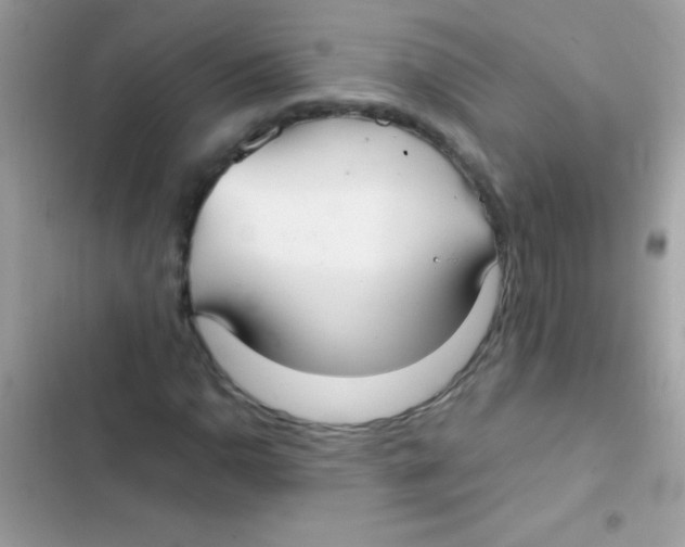 X0000103141110200809191958