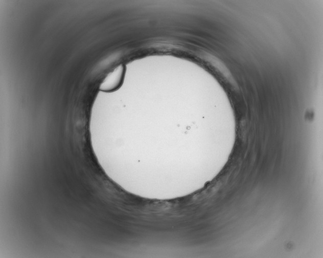 X0000103141111200809191958