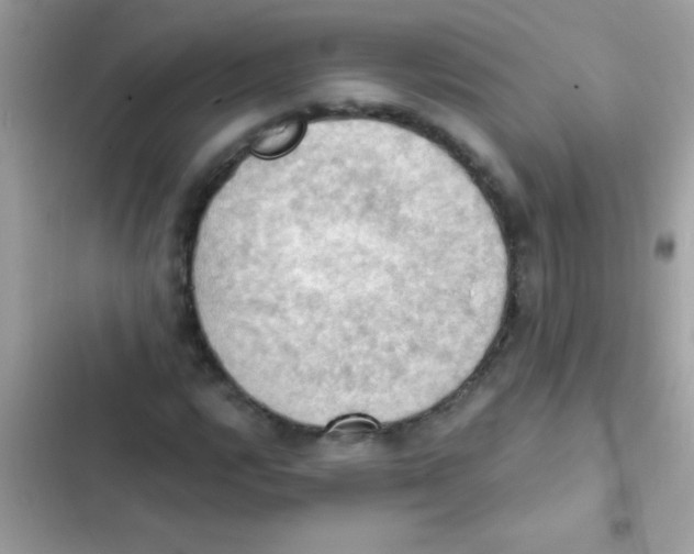 X0000103141112200809191958