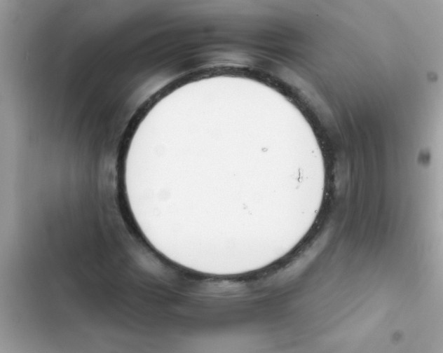 X0000103141113200809191958