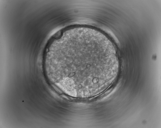 X0000103141114200809191958