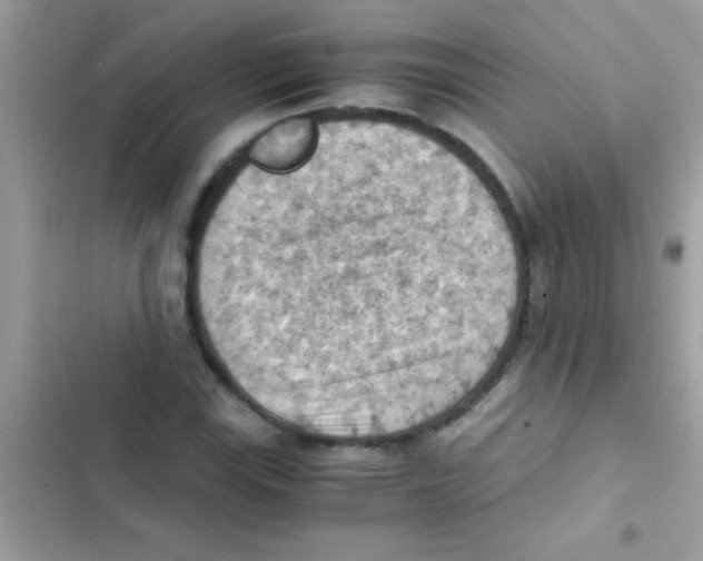 X0000103141115200809191958