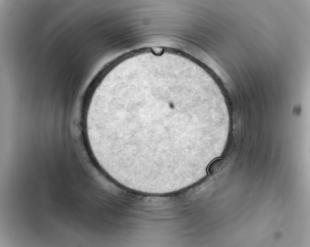 X0000103141116200809191958