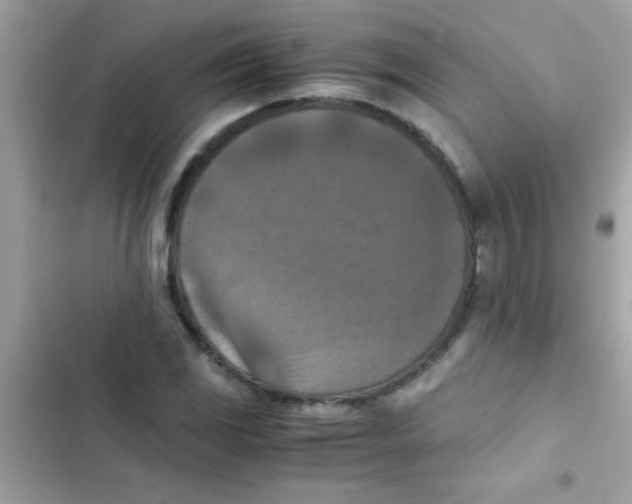 X0000103141117200809191958