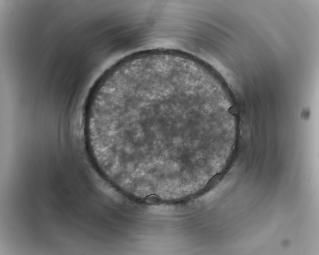 X0000103141118200809191958