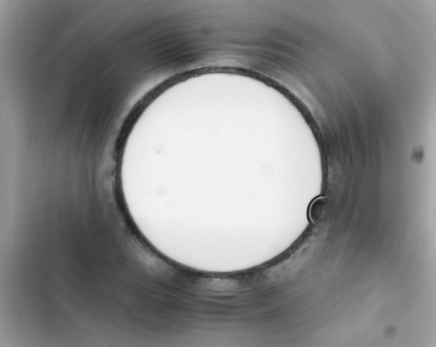 X0000103141119200809191958