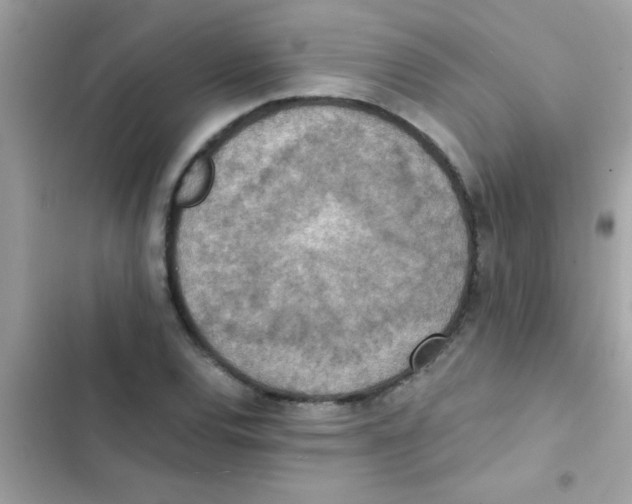 X0000103141120200809191958