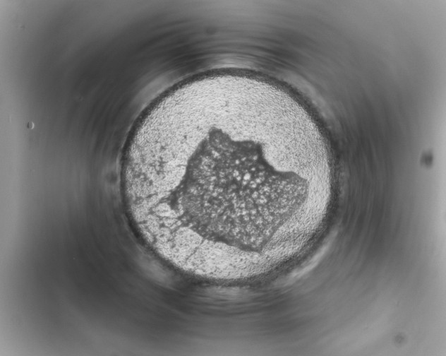 X0000103141121200809191958