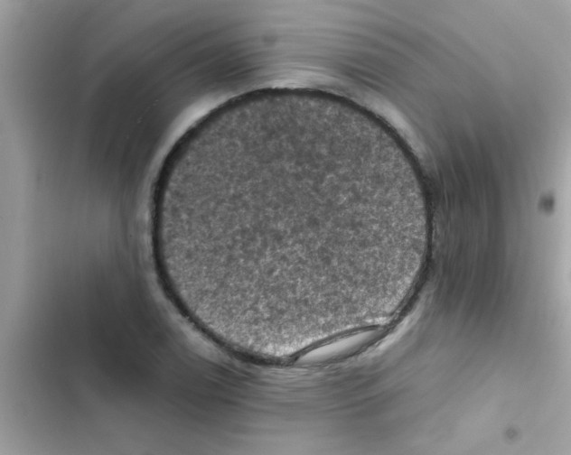 X0000103141122200809191958