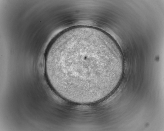 X0000103141123200809191958