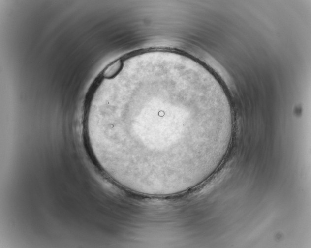 X0000103141124200809191958