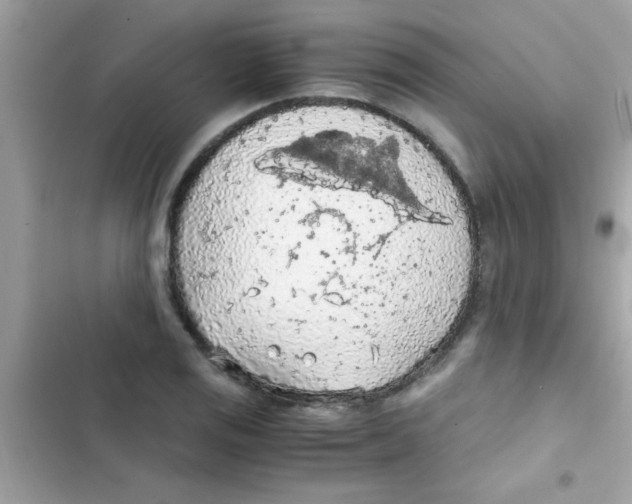 X0000103141125200809191959