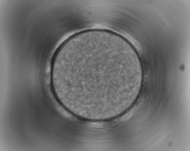 X0000103141126200809191959