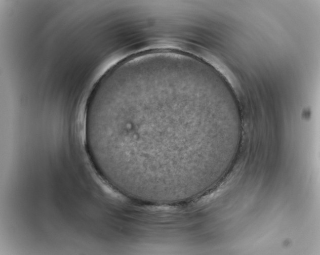 X0000103141127200809191959