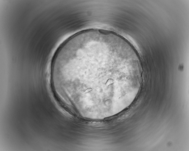 X0000103141128200809191959