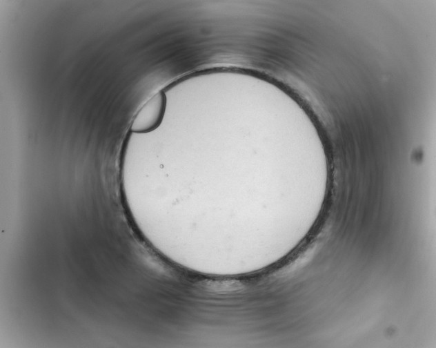 X0000103141129200809191959