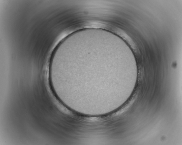 X0000103141130200809191959