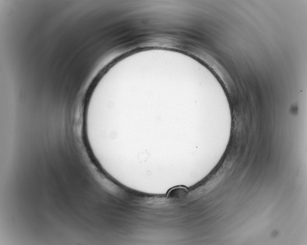 X0000103141131200809191959