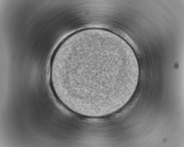 X0000103141132200809191959