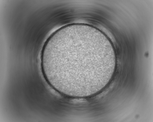 X0000103141133200809191959