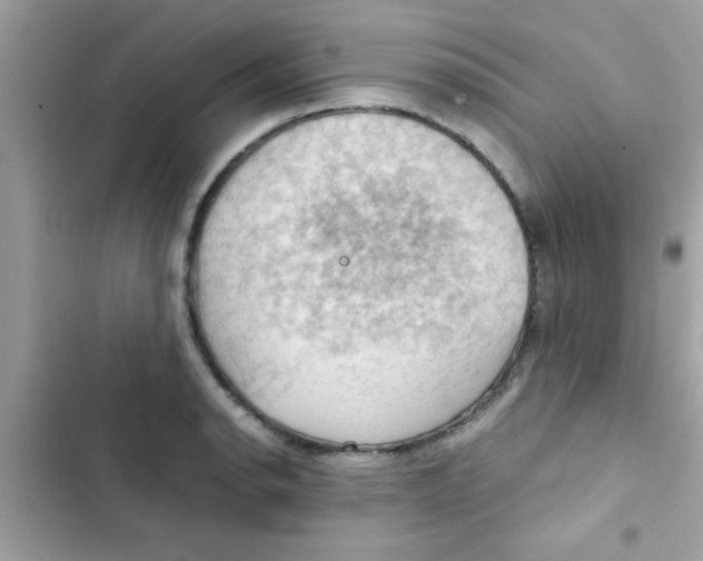 X0000103141134200809191959