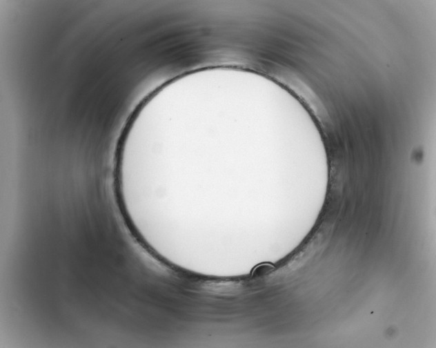 X0000103141135200809191959