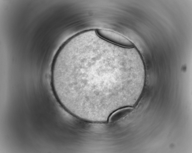 X0000103141136200809191959