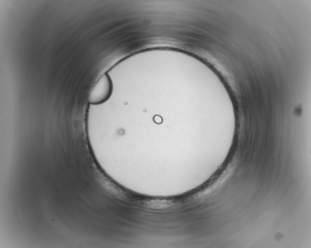 X0000103141137200809191959