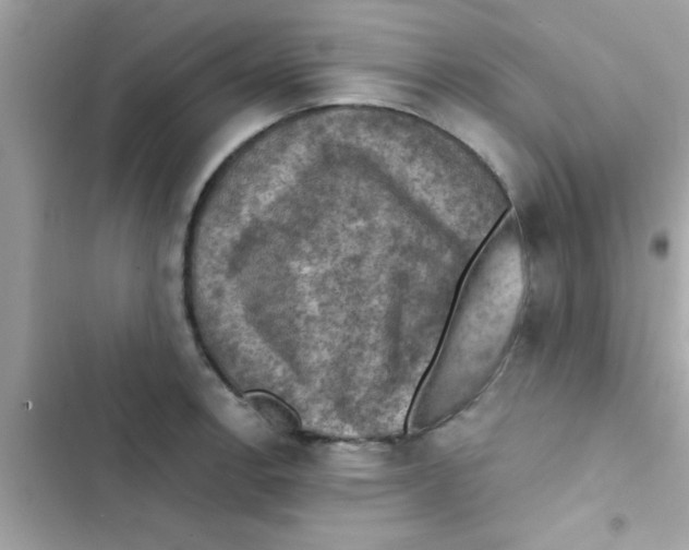 X0000103141138200809191959