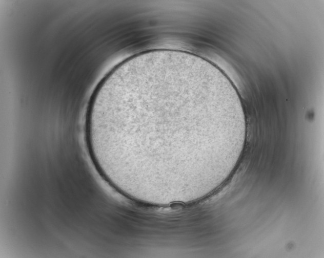 X0000103141139200809191959