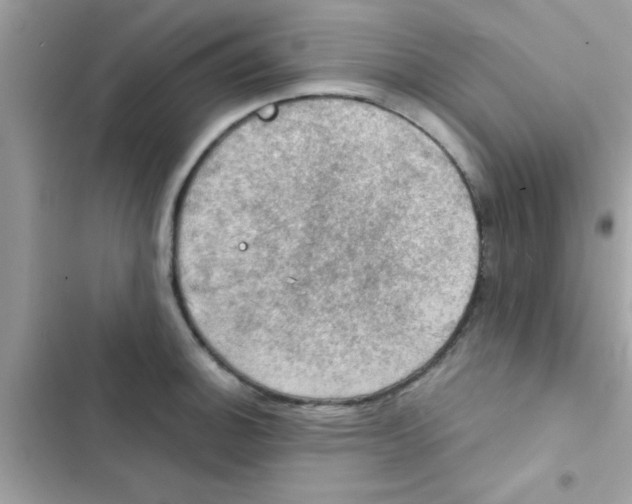 X0000103141140200809191959