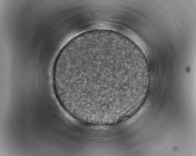 X0000103141141200809191959