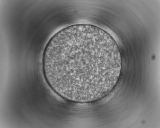 X0000103141142200809191959