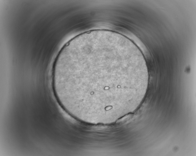 X0000103141143200809191959